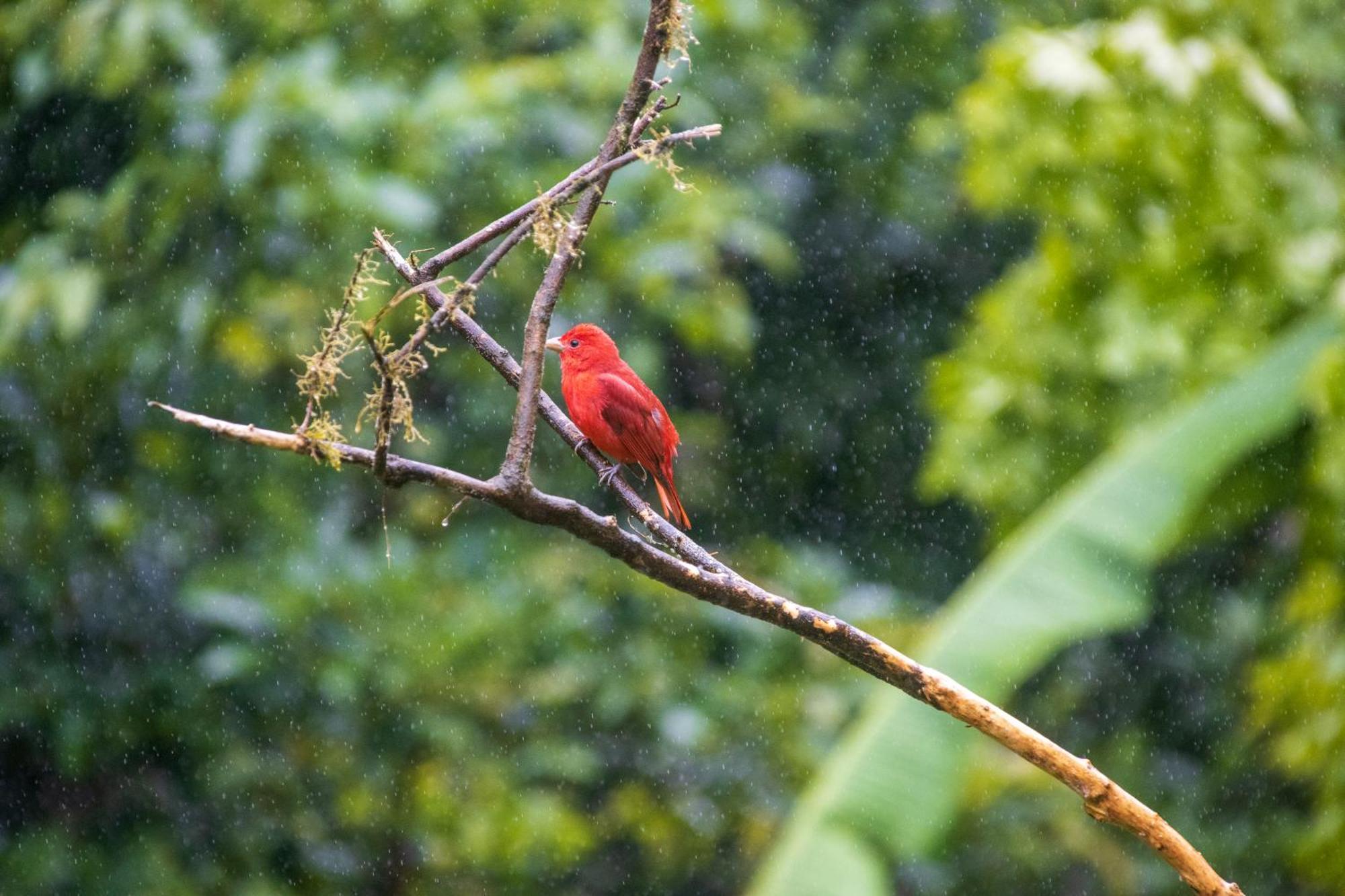 비자구아 Aves De Tierras Altas 빌라 외부 사진