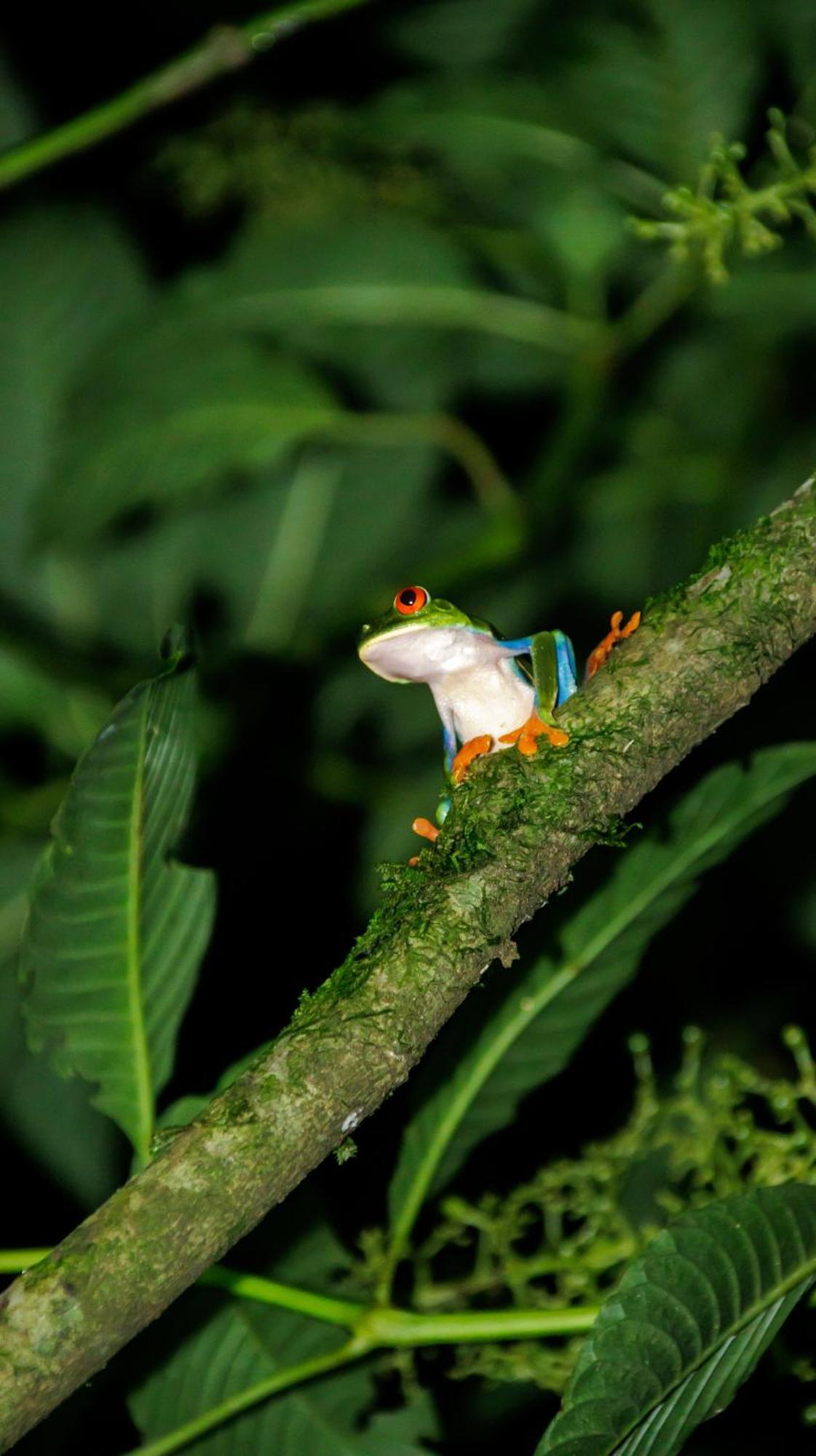 비자구아 Aves De Tierras Altas 빌라 외부 사진