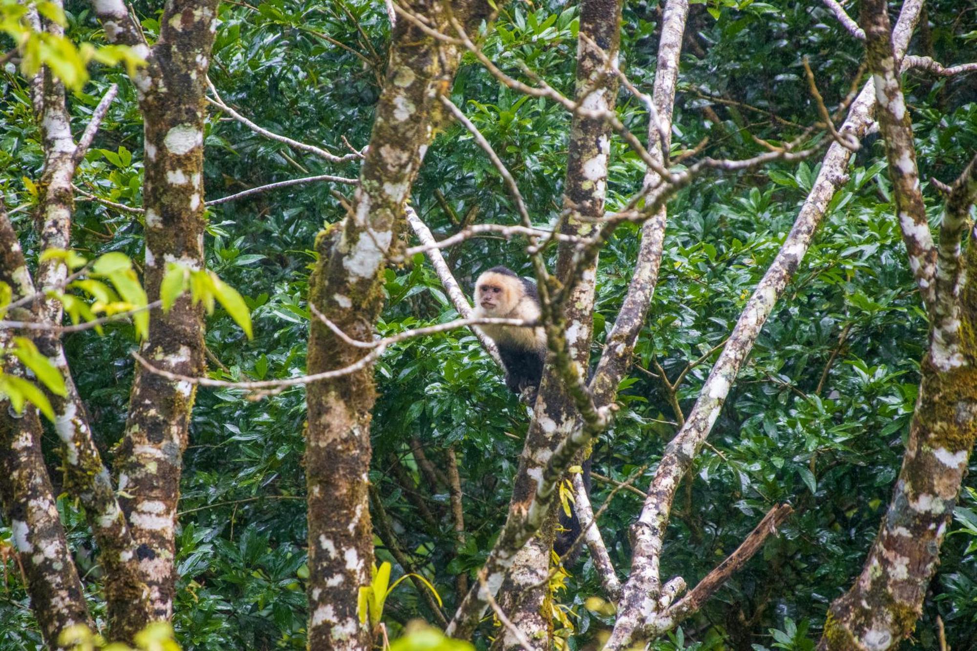 비자구아 Aves De Tierras Altas 빌라 외부 사진