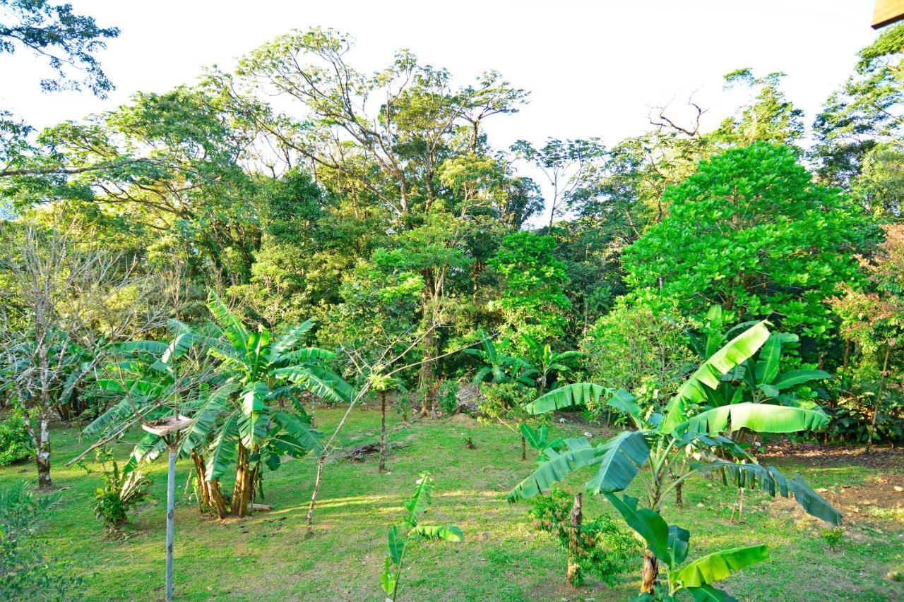 비자구아 Aves De Tierras Altas 빌라 외부 사진