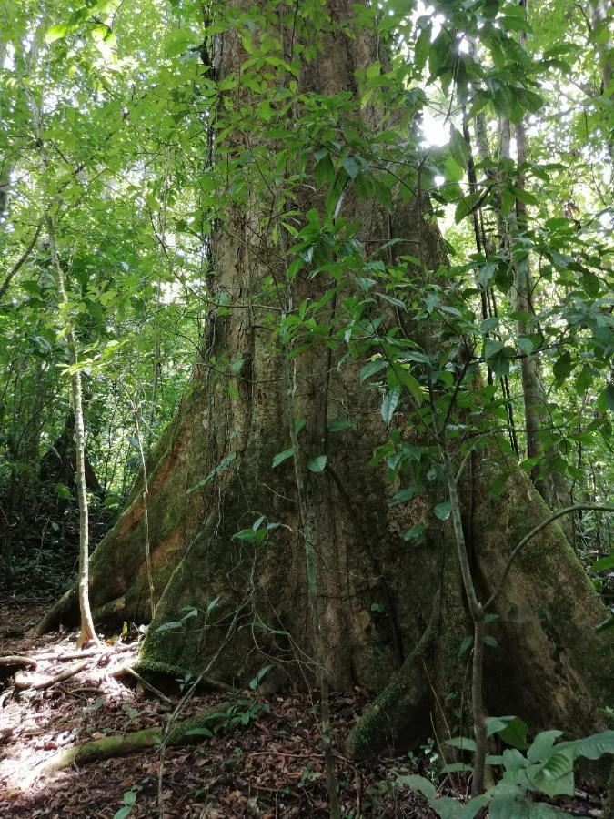 비자구아 Aves De Tierras Altas 빌라 외부 사진